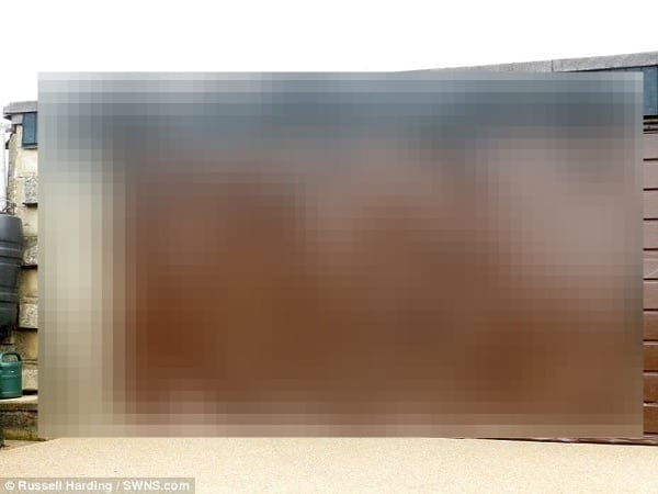 1412585348542 wps 2 The incredible spider s w