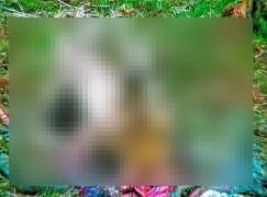  M12Bjorn2210 Jpg 624404V