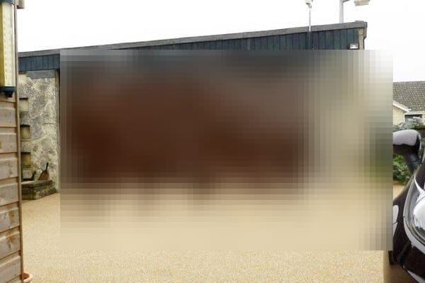 The incredible spiders web