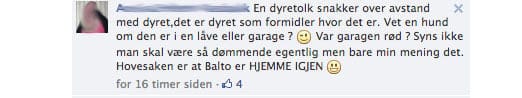Dyretolk10