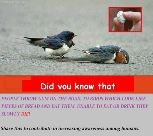 Tumblr m57fuz85mP1r506lj