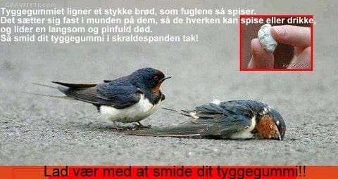 579577 10151800547665080 1326523867 n