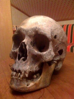 hodeskalle2_s.jpg