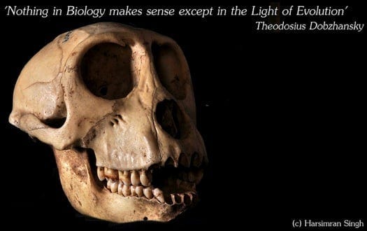 8181518284 6c0daaf601 z