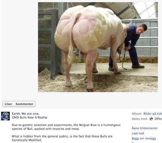 Screenshot 2014 01 13 12 08 03