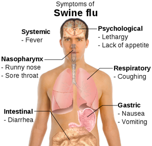 Symptoms of swine flu svg
